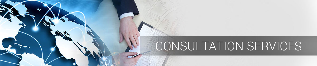 CONSULTATION SERVICES